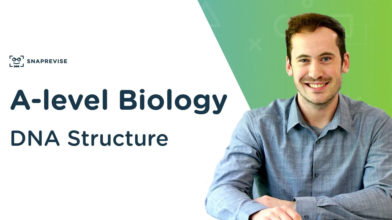 DNA Structure | A-level Biology | OCR, AQA, Edexcel