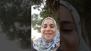 احلى مسا عليكى يا صفرا تعالى اشربى بيبس 