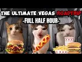 CAT MEMES THE ULTIMATE FAMILY ROADTRIP HALF HOUR COMPILATION