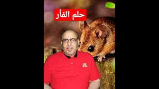 حلم الفأر 