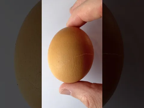 Will it Watercolor? Egg Shell