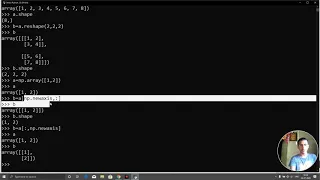 python 50 numpy reshape expand dims newaxis