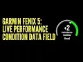 GARMIN FENIX 5 LIVE PERFORMANCE CONDITION DATA FIELD