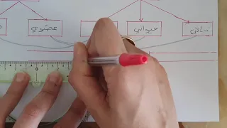 ملخص شامل الفصل الأول علوم طبيعية سنة أولى متوسط 