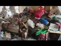 Animal Charity facing deplorable conditions while rescuing cats from Youngstown house on Early Road