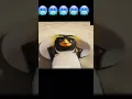 Download Lagu Amanhã já é dia de tomar banho 🥶 / João frango