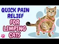 How to Treat A Limping Cat Fast Safe Remedies Vet Advice