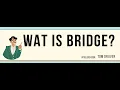 Wat is bridge door Tom Drijver
