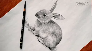 How to draw a rabbit bunny pencil drawing step by step black and white
