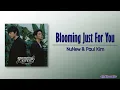 Download Lagu NuNew \u0026 Paul Kim – Blooming Just For You [Rom|Eng Lyric]