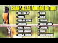 Download Lagu MASTERAN JUARA MURAI BATU FULL TEMBAKAN TERBAIK SEPANJANG MASA ISIAN JELAS MUDAH DI TIRU