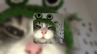 بابا فين مسرعه 