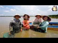 Download Lagu Ánh Kua Cẩm Tiên TV đổ Dớn cá đồng Mùa nước nổi ăn toàn món ngon dân dã Miền Tây ở quê Phan Diễm