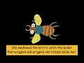 I Know an Old Lady Who Swallowed a Fly