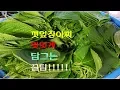 Download 깻잎장아찌맛있게담그는꿀팁 mp4 3gp mp3 videos - waplic