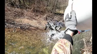 Stocking Trout in Pennsylvania 2024