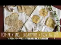 HOW TO ECO-PRINT WITH EUCALYPTUS IRON MORDANT ORGANIC COLOR SILK COTTON BUNDLE DYE