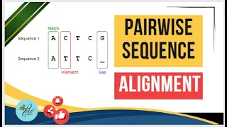 pairwise sequence alignment Bioinformatics