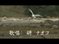 かもめはかもめ     研ナオコ
