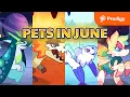 Pet of the Week - June 2026