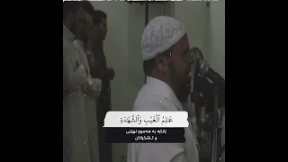                               دندنها