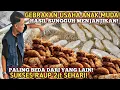 SUKSES USAHA OTAK- OTAK CRISPY PALING MENJANJIKAN BEDA DARI YANG LAIN OMSET 2 JUTA | IDE USAHA 2024
