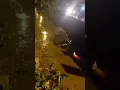 Car crashes into concrete structure flips into river at Orange Grove Road St Augustine