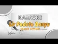 Download Lagu LIR PEDOTE BANYU - Karaoke || DENIK ARMILA