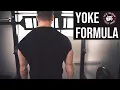 The Athletic Yoke Formula