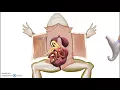 Virtual Frog Dissection
