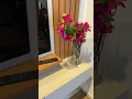 Vídeo do produto