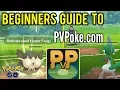 Beginners Guide to PVPoke How to Use Battle Simulators