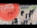 Download Lagu The farewell of Jasper 366. King of the stallions. 25 years old! Friesian horses.