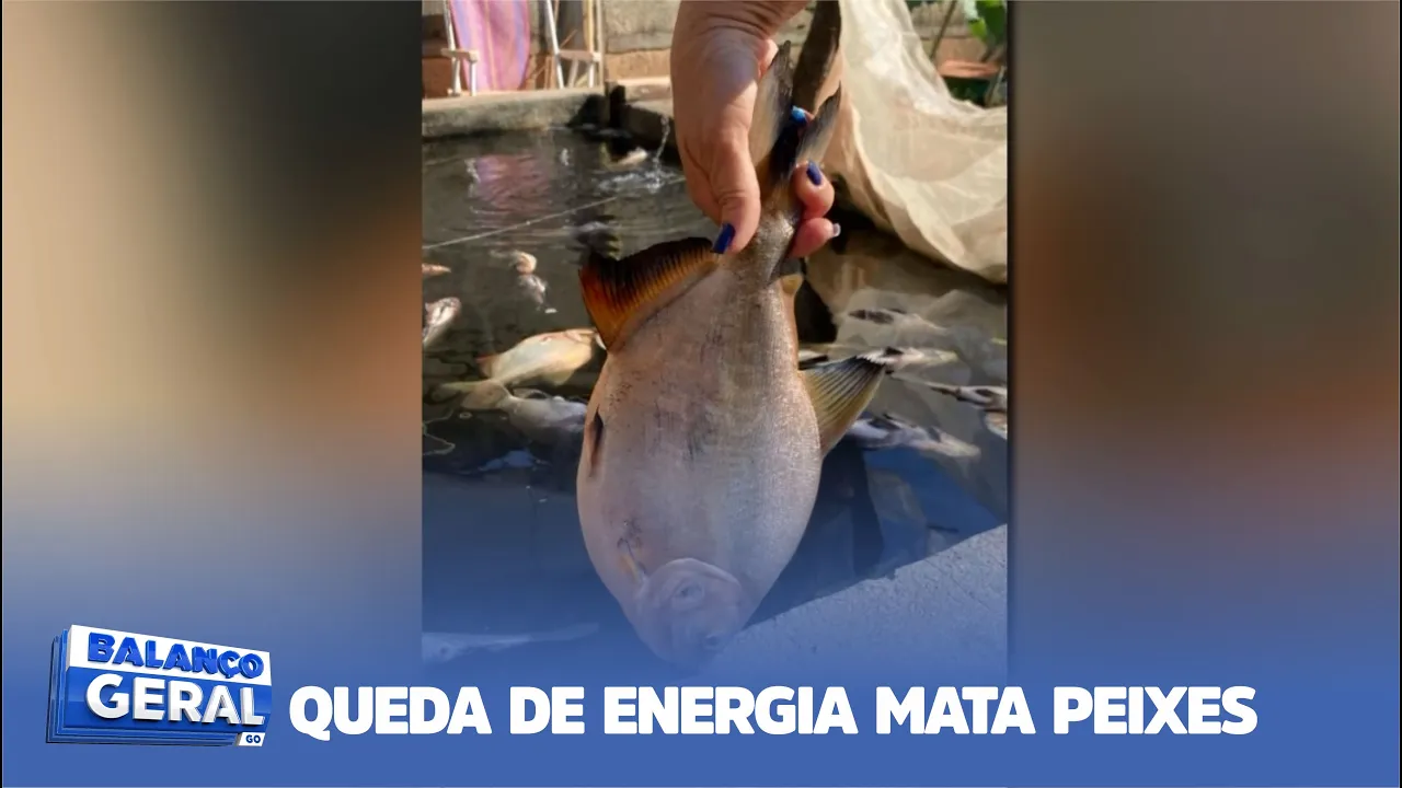 PREJUÍZO DE 3 MIL: QUEDA DE ENERGIA MATA PEIXES DE CRIATÓRIO