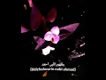 Download Lagu sholawat dzoharoddinul muayyad