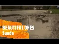 Suede - Beautiful Ones