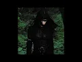 Not for Radio  - Swan (SLOWED + REVERB)