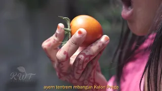 mars kwt amrih rahayu