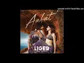 Aafat Liger Hindi New Mp3 Song Full 2024 ll New Video Song ll
