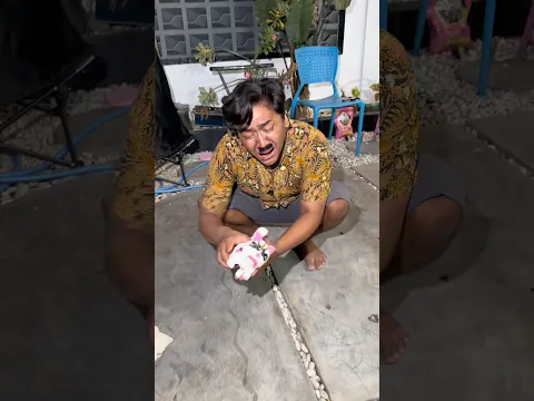 Selamat tinggal kucing😭