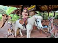 Download Lagu Naik Kuda Poni, Unta, Kasih Makan Kanguru dan Lemur - Mengenal Binatang