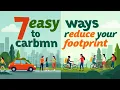 7 Easy Ways to Reduce Your Carbon Footprint