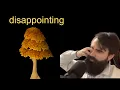 Reviewing the Maple Tree