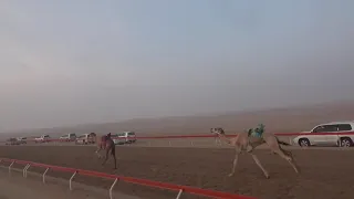 الشوط 3 ملبي للسيد خلفان بخيت فطيس المنصوري توقيت 9 45 06 