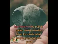 Download Lagu TULUS - gajah
