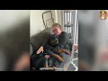My Husband’s Rottweiler Never Liked Me…Then One Day He Found Him in My Lap