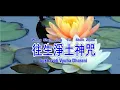 往生咒 Wang Sheng Zhou |SUKHAVATI VYUHA DHARANI | Pure Land Rebirth Mantra | Mandarin Transliteration