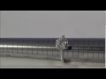1 24ct Halo Diamond Ring L484