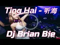Ting Hai 听海 Mendengarkan Laut Remix By Dj Brian Bie