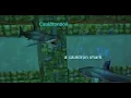 Druid Solos Cauldronboil Kedge Keep Project 1999 EverQuest